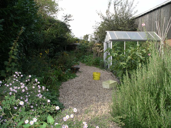 moestuin.JPG